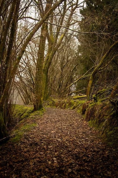 Lake Cabin - East Sussex