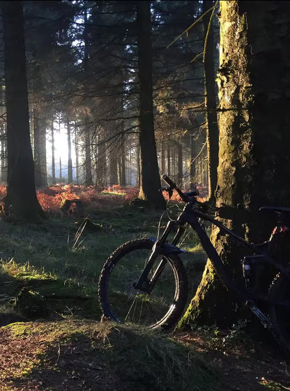Luxury Forest Hideaway - Gloucestershire