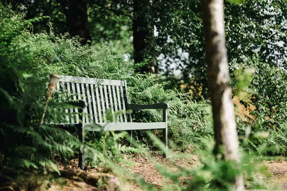 Secluded Forest Cabin - Birchover