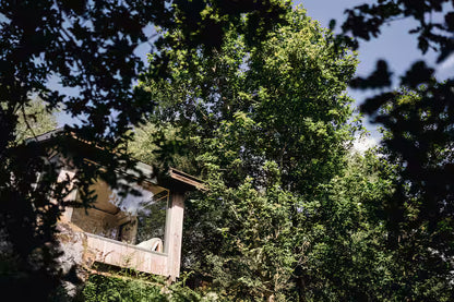 Secluded Forest Cabin - Birchover