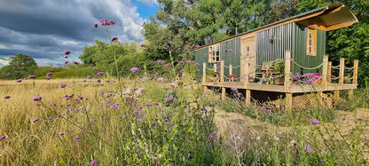 Romantic Luxury Shepherd Hut - Windsor