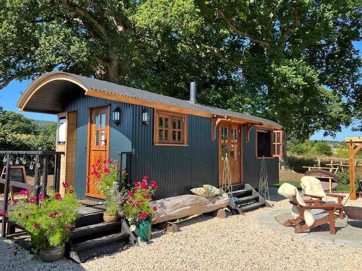 Shepherd Hut - Dorset