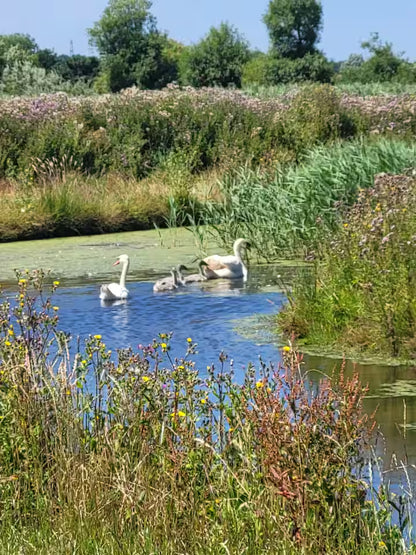 Romantic Hut & Hot Tub - Kent