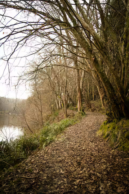 Lake Cabin - East Sussex