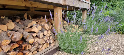 Romantic Luxury Shepherd Hut - Windsor