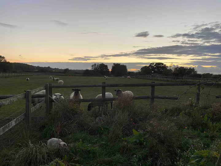 Shepherd Hut & Hot Tub - Somerset