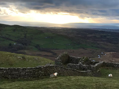 Shepherd Hut - Llanbedr