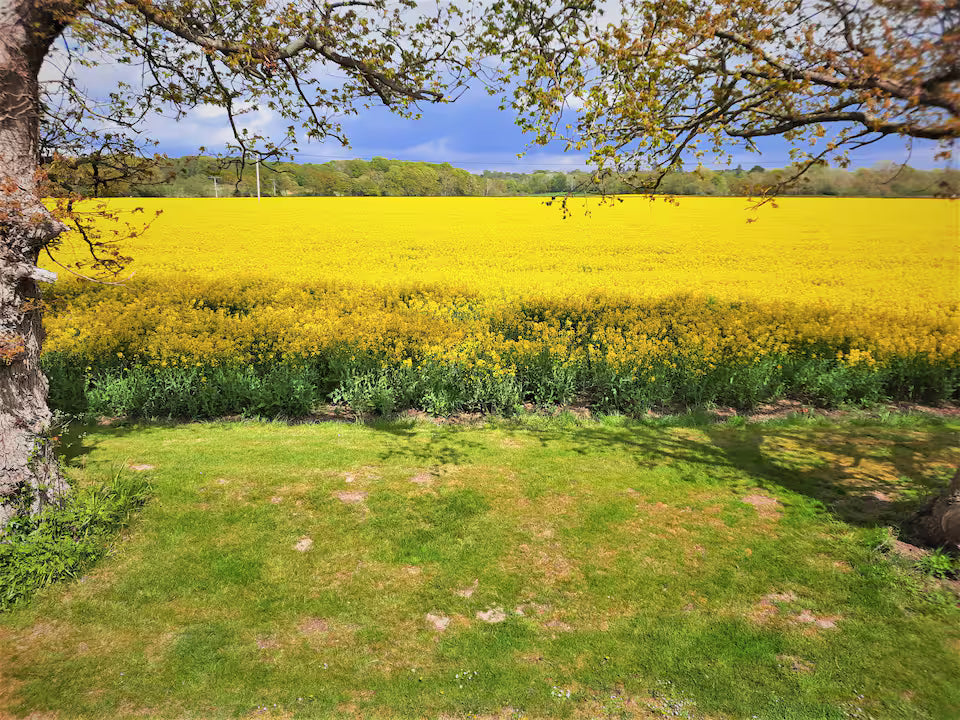 Secluded Cabin - Bransgore - New Forest