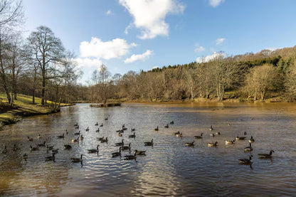 Lake Cabin - East Sussex