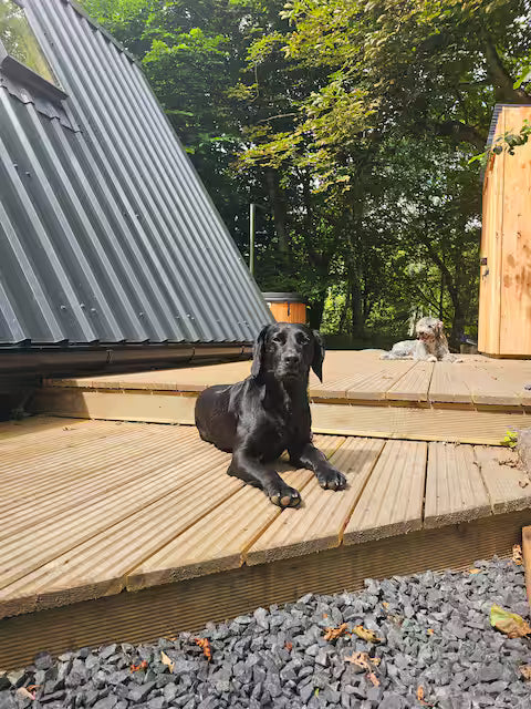 Secluded Tiny Home - Preston