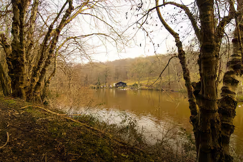 Lake Cabin - East Sussex