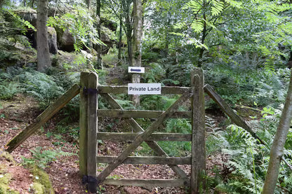 Secluded Forest Cabin - Birchover
