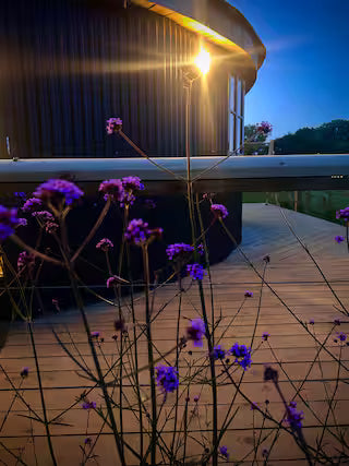 Luxury Roundhouse & Hot Tub - North Curry