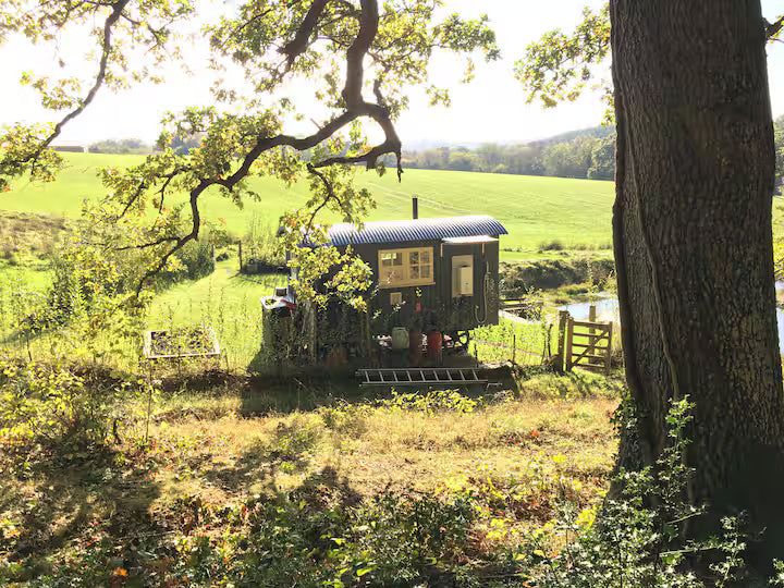 Off Grid Shepherd Hut - West Devon