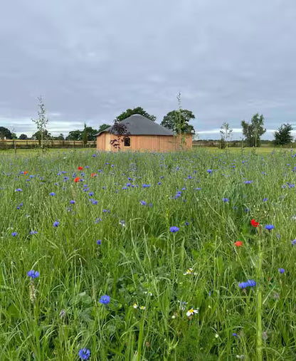 Roundhouse & Hot Tub - Norfolk