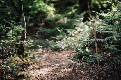 Secluded Forest Cabin - Birchover