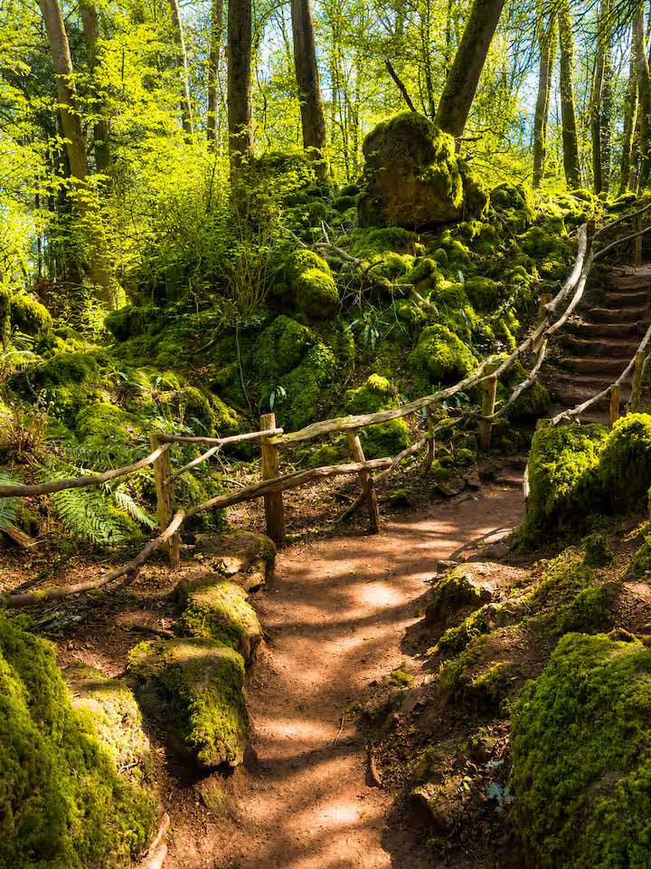 Luxury Forest Hideaway - Gloucestershire