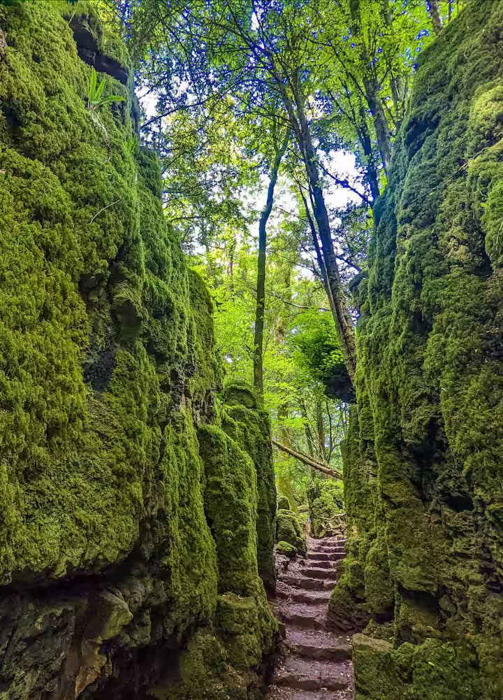 Luxury Forest Hideaway - Gloucestershire