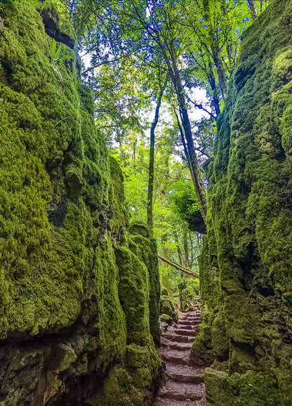 Luxury Forest Hideaway - Gloucestershire