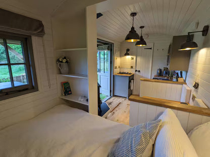 Hut In The New Forest - Hampshire