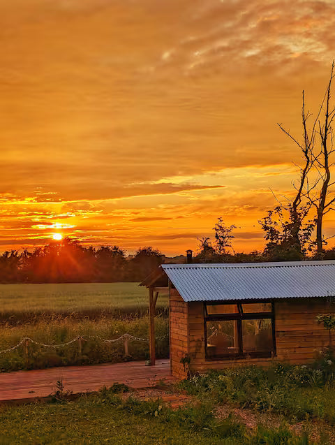 Romantic Wagon & Farm Stay - Kent