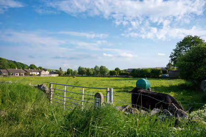 Modernised 1700's Cottage - Derbyshire