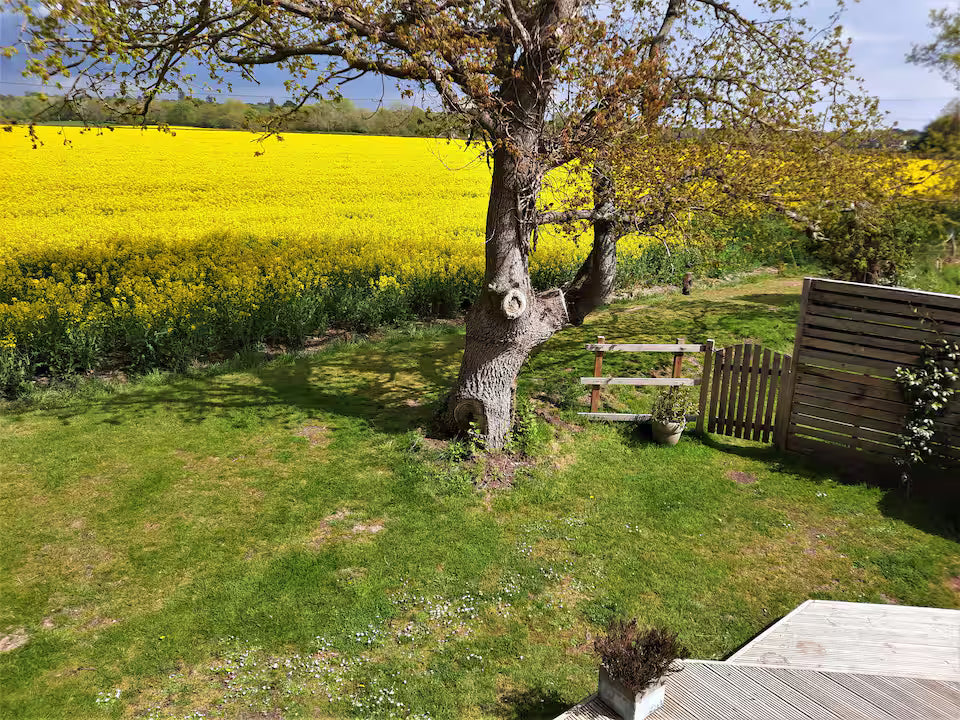 Secluded Cabin - Bransgore - New Forest