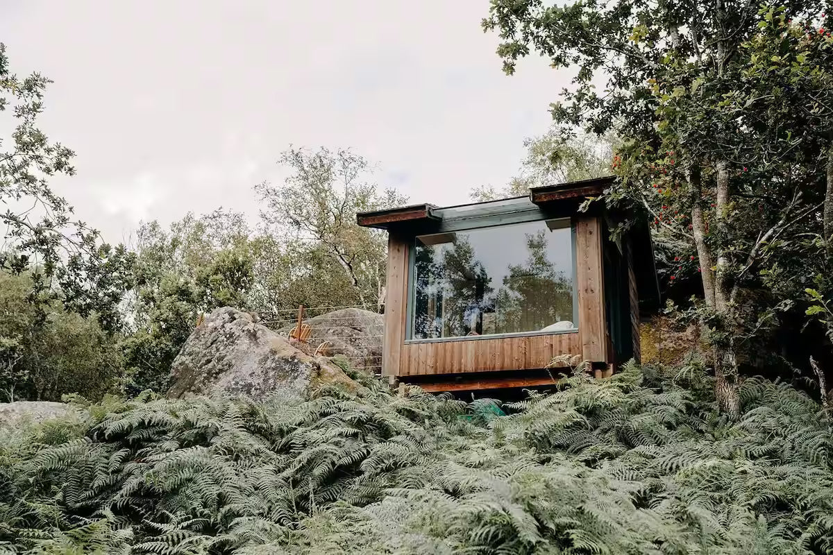 Secluded Forest Cabin - Birchover