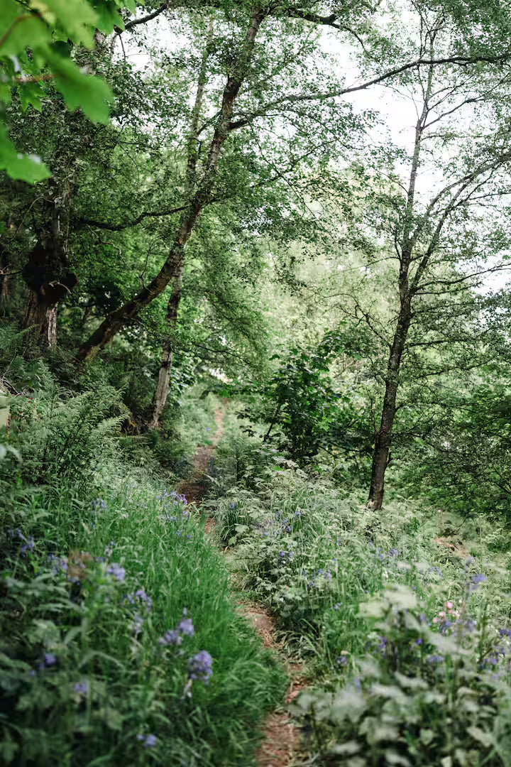 Secluded Forest Cabin - Birchover