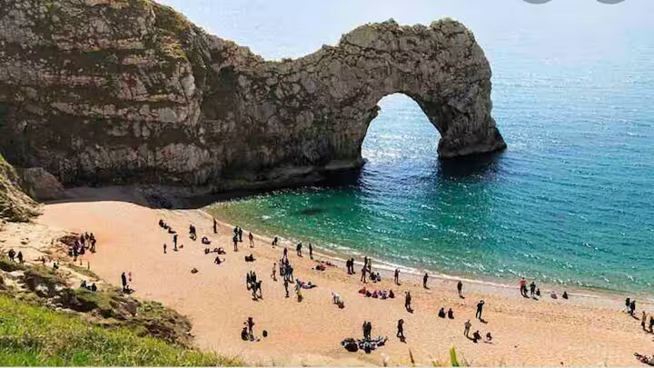 Secluded Lodge - Dorset
