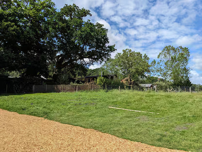 Hut In The New Forest - Hampshire