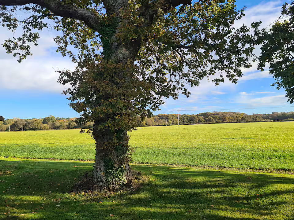 Secluded Cabin - Bransgore - New Forest