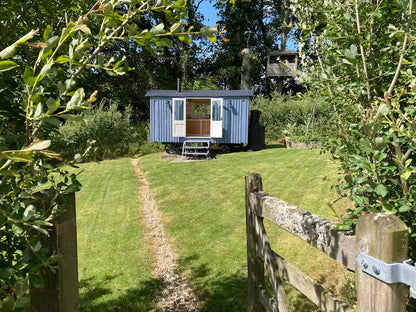 Off Grid Shepherd Hut - West Devon