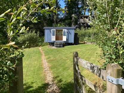 Off Grid Shepherd Hut - West Devon