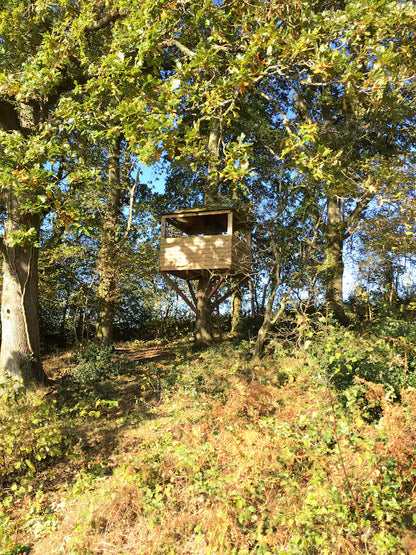 Off Grid Shepherd Hut - West Devon