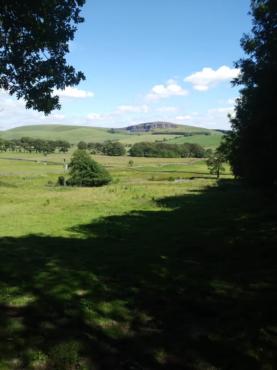 Shepherd Hut - Derbyshire