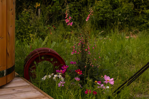 Romantic Wagon & Farm Stay - Kent