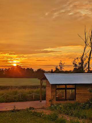 Romantic Wagon & Farm Stay - Kent
