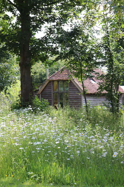 Secluded Barn - Cliffs Of Dover