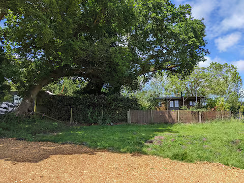 Hut In The New Forest - Hampshire